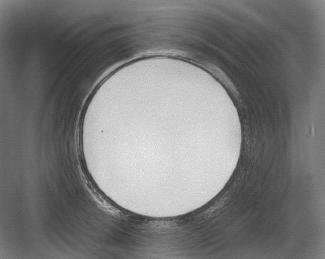 X0000082151044200702162203