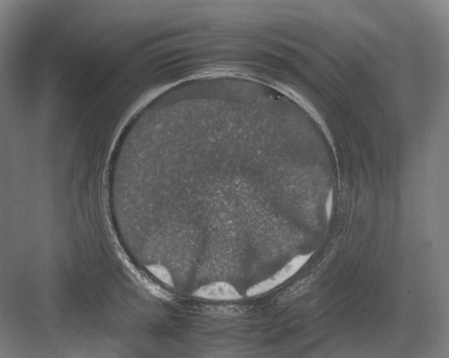 X0000082151045200702162203