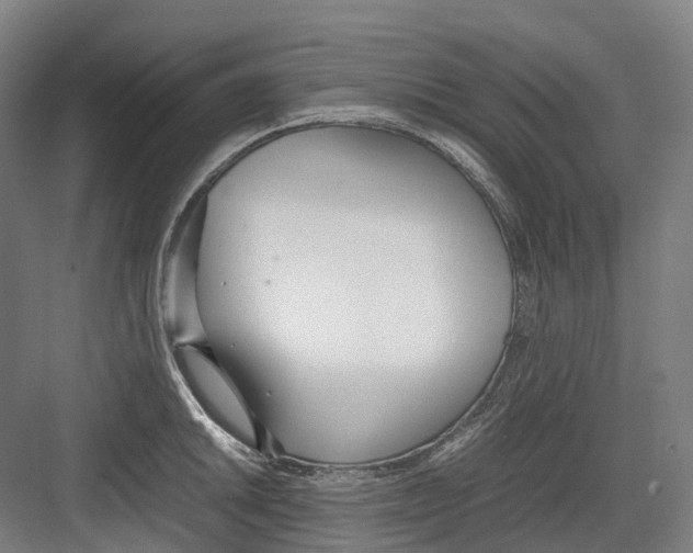 X0000082151046200702162203