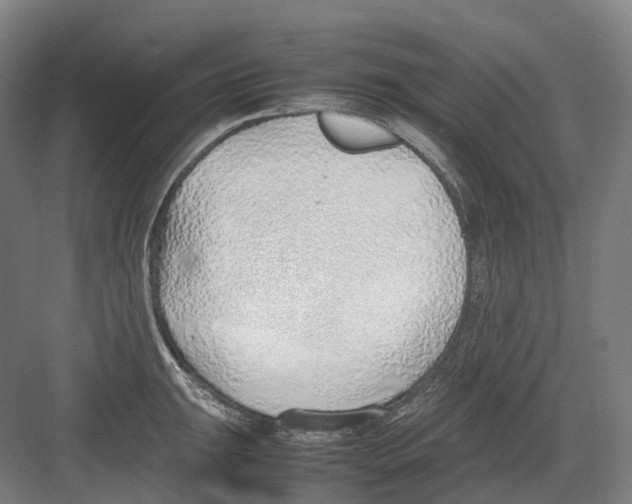 X0000082151047200702162203