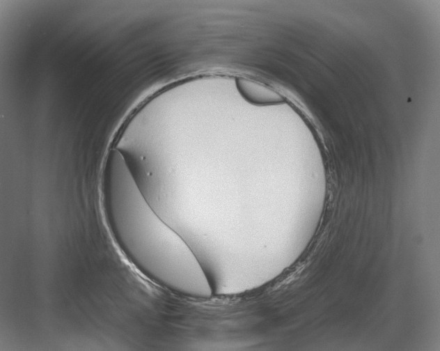 X0000082151048200702162203