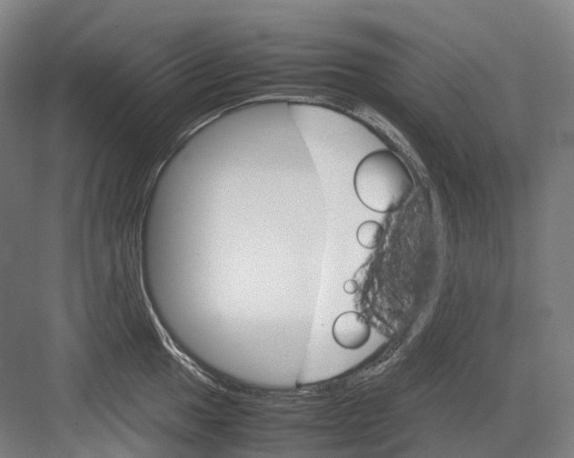 X0000082151049200702162203