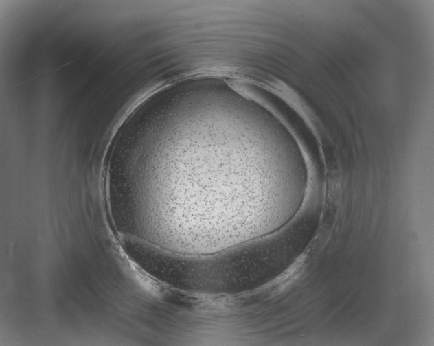 X0000082151050200702162203