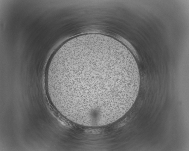 X0000082151051200702162203