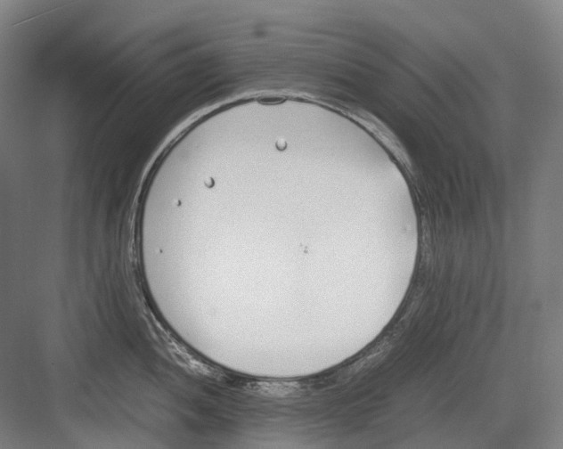 X0000082151052200702162203