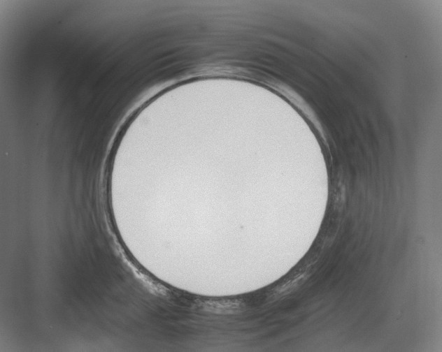 X0000082151053200702162203