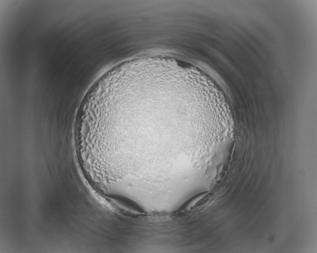 X0000082151055200702162204