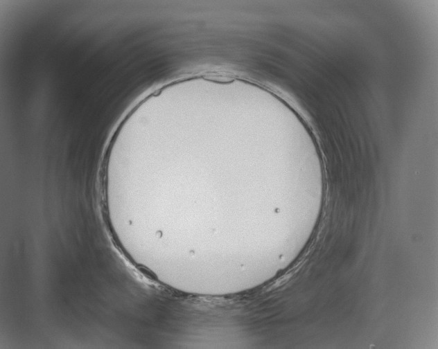 X0000082151056200702162204