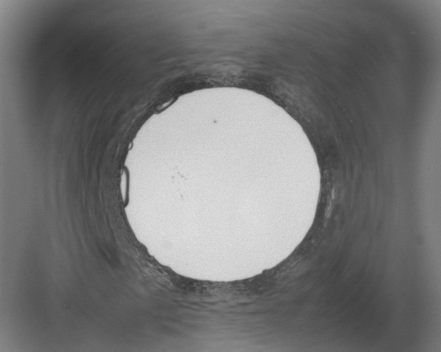 X0000082151057200702162203