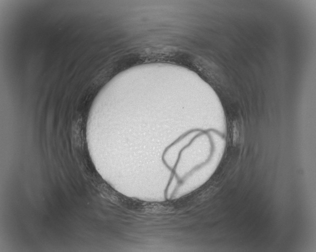 X0000082151059200702162203