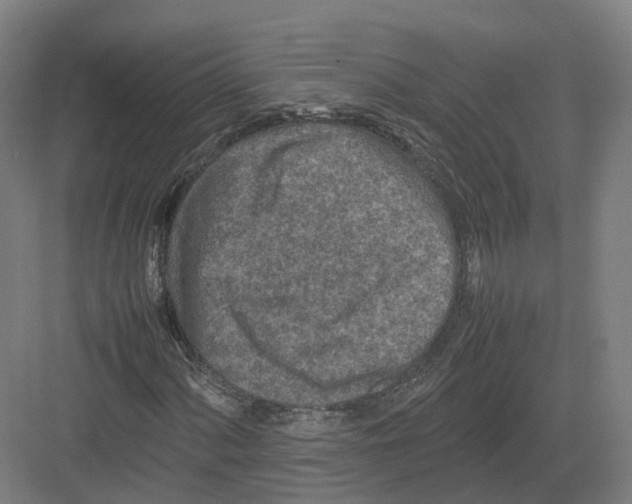 X0000082151060200702162203