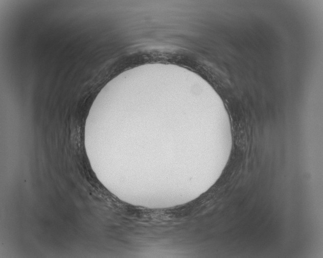 X0000082151061200702162203