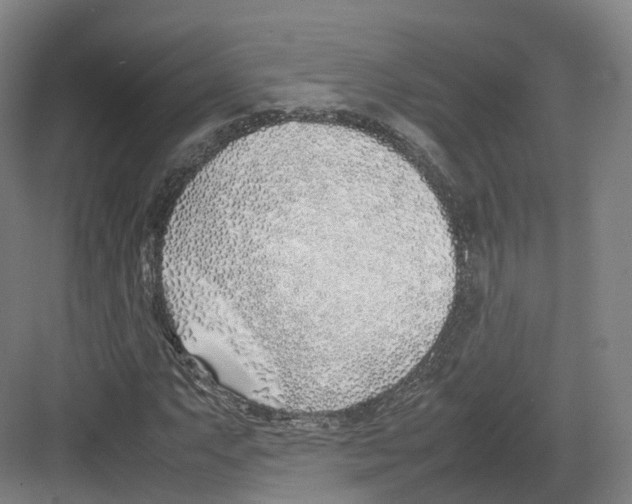 X0000082151063200702162203