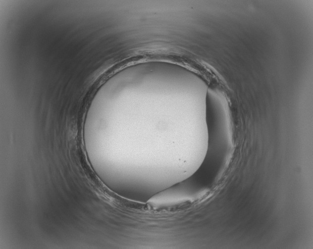 X0000082151065200702162203