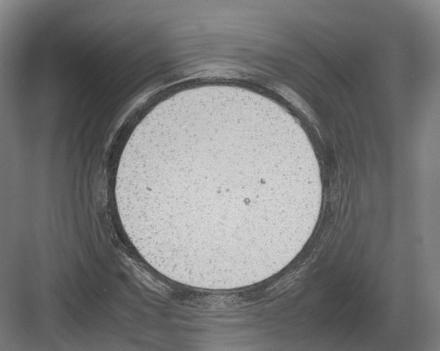 X0000082151067200702162203