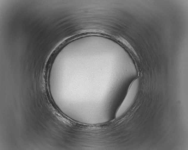 X0000082151068200702162203