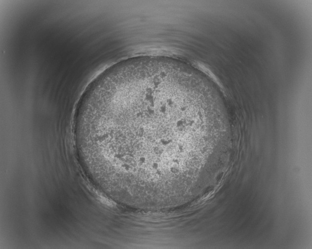 X0000082151071200702162203