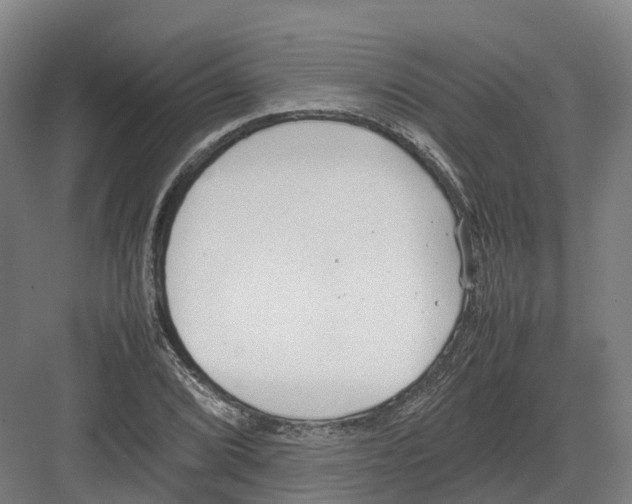 X0000082151072200702162202