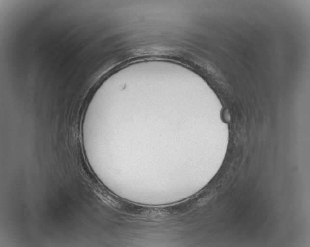 X0000082151073200702162202