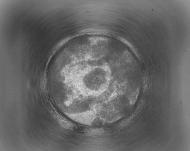 X0000082151074200702162202