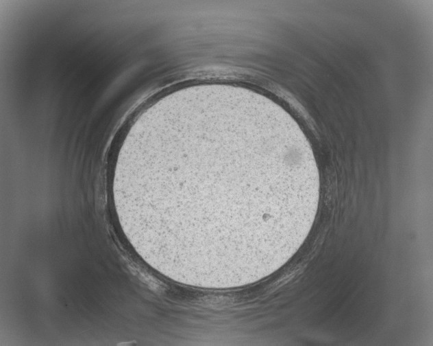 X0000082151075200702162202