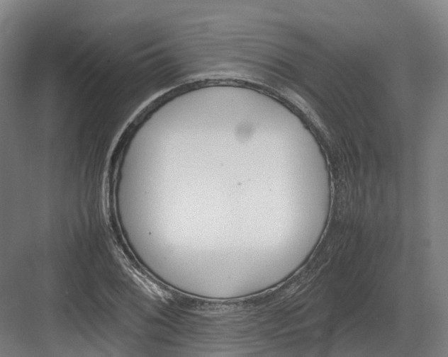 X0000082151076200702162202