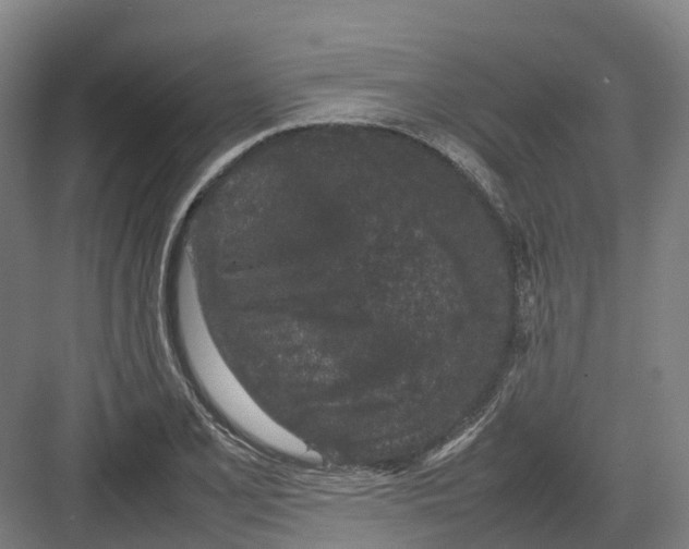 X0000082151077200702162202