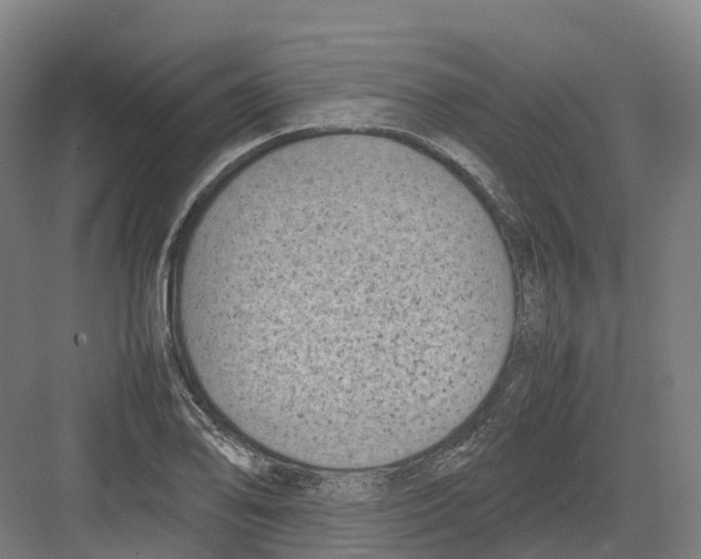 X0000082151078200702162202