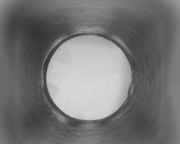 X0000082151079200702162202