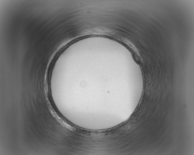 X0000082151080200702162202