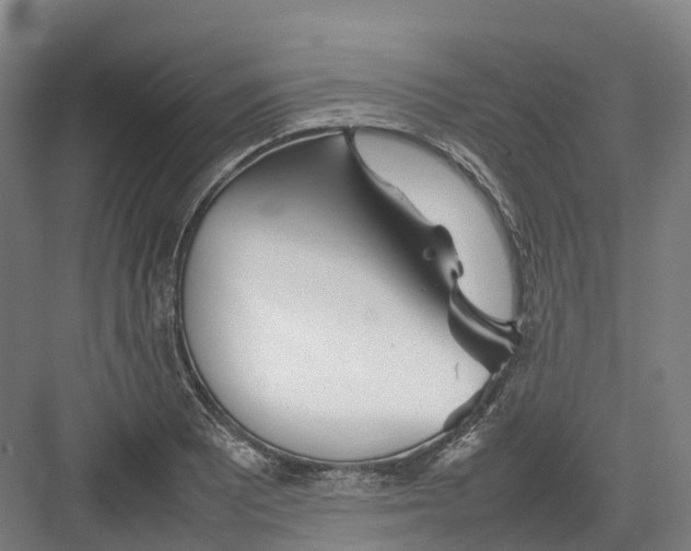 X0000082151081200702162202