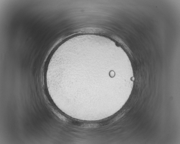 X0000082151083200702162202