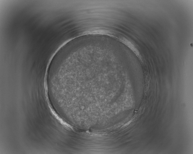 X0000082151084200702162202