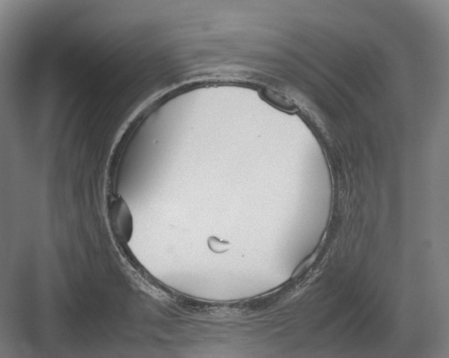 X0000082151085200702162202