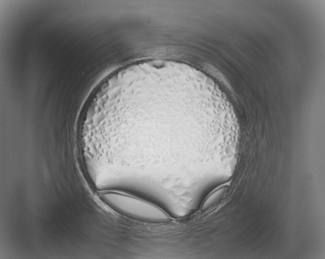 X0000082151087200702162202