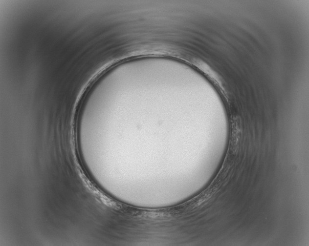 X0000082151088200702162202