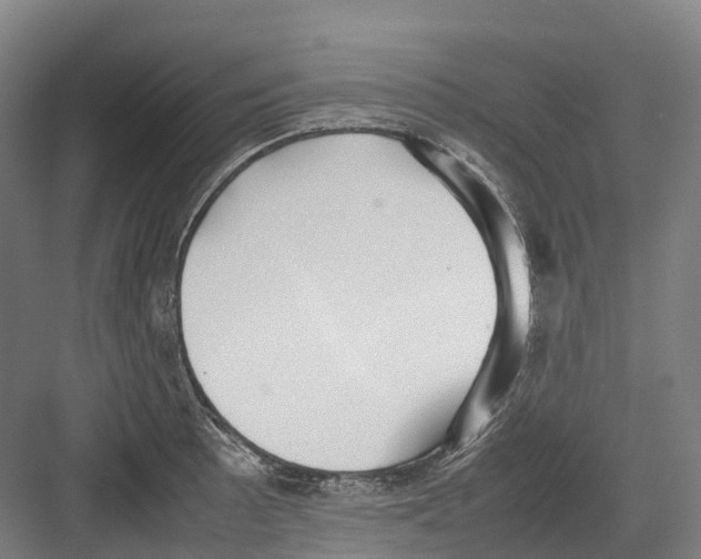 X0000082151089200702162202