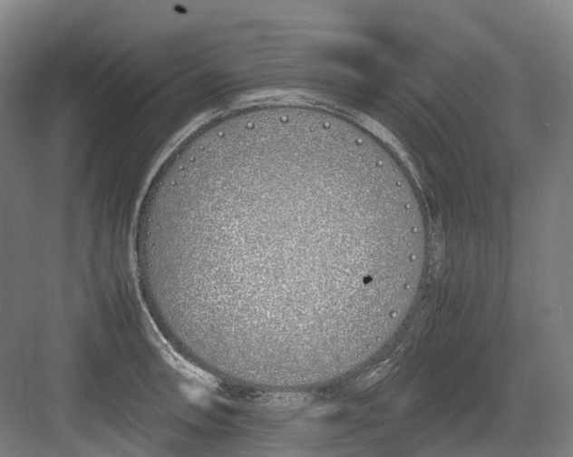 X0000082151090200702162202