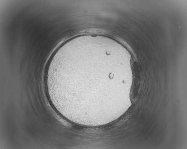 X0000082151091200702162202