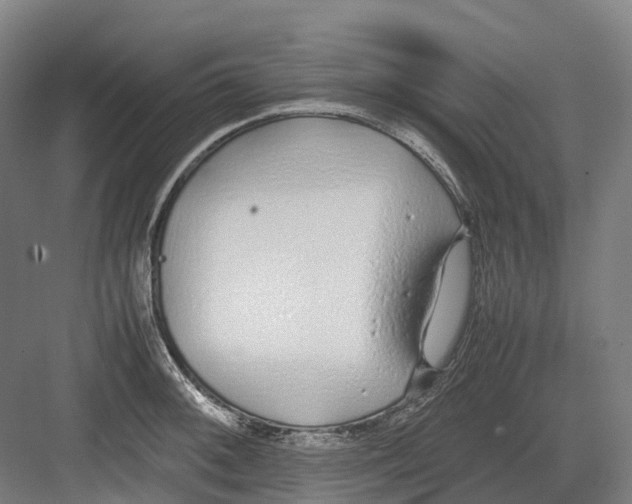 X0000082151092200702162202