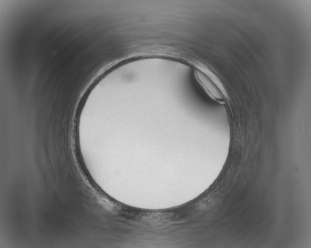 X0000082151093200702162202