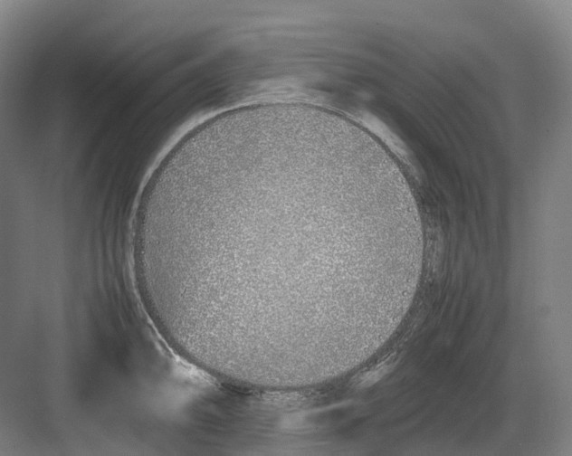 X0000082151094200702162202