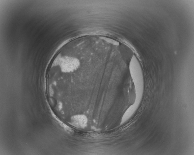 X0000082151095200702162202