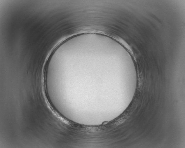 X0000082151096200702162202