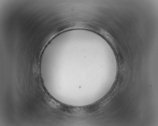 X0000082151097200702162202