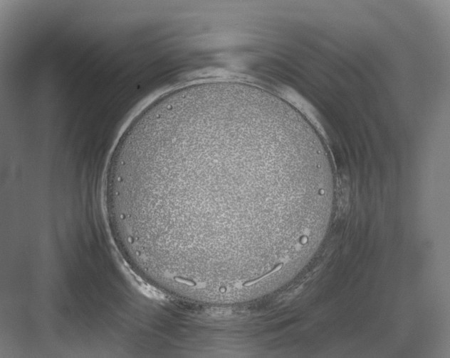 X0000082151098200702162202