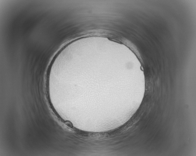 X0000082151099200702162202