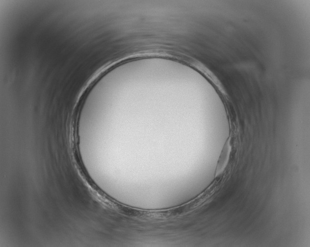 X0000082151101200702162202