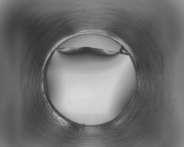 X0000082151102200702162202