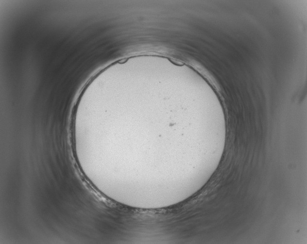 X0000082151104200702162202